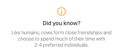 EcoHero fact screen